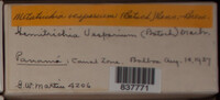 Image Associated With the Occurence